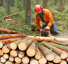 Automobily v továrně na výrobní lince